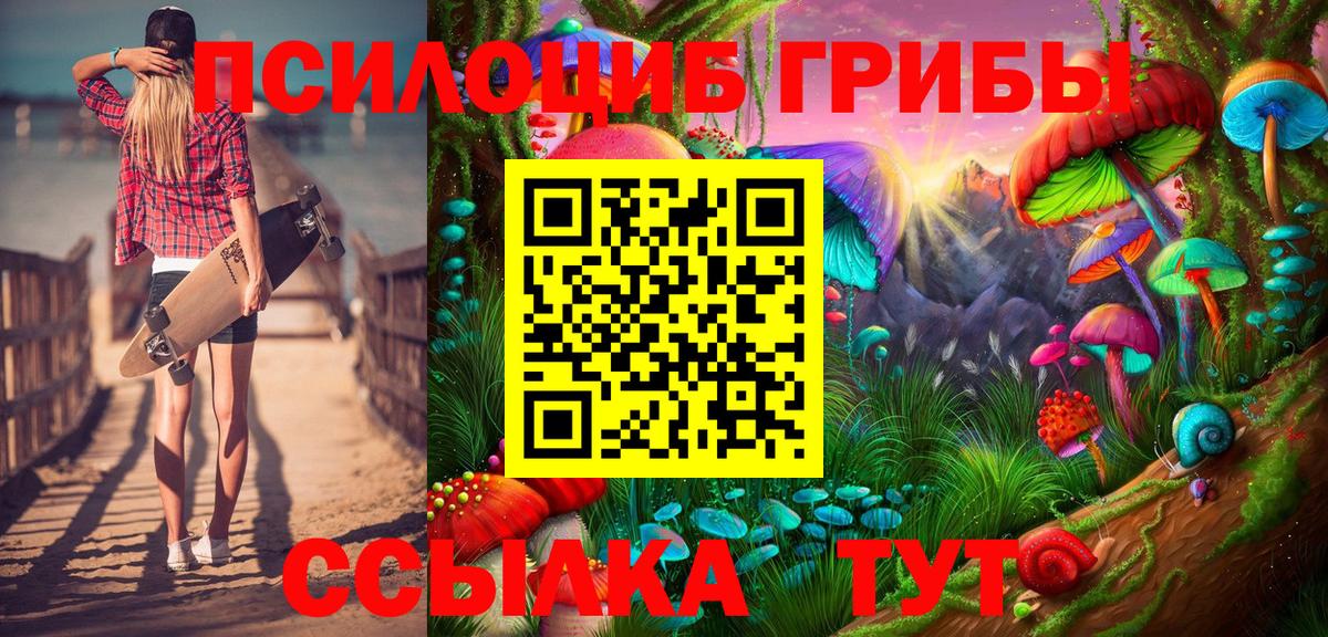 Псилоцибиновые грибы мицелий Бахчисарай