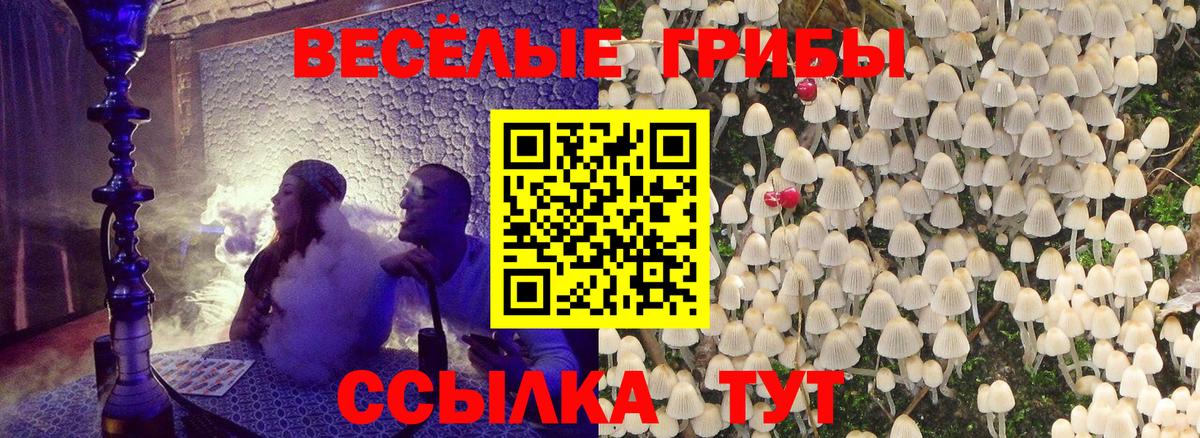 Бахчисарай  Галлюциногенные грибы GOLDEN TEACHER  Псилоцибиновые грибы мухоморы  Вход с VPN 